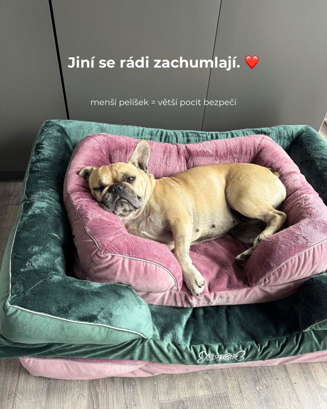 Kopie návrhu NÁŠ NEJPRODÁVANĚJŠÍ PELÍŠEK - 6